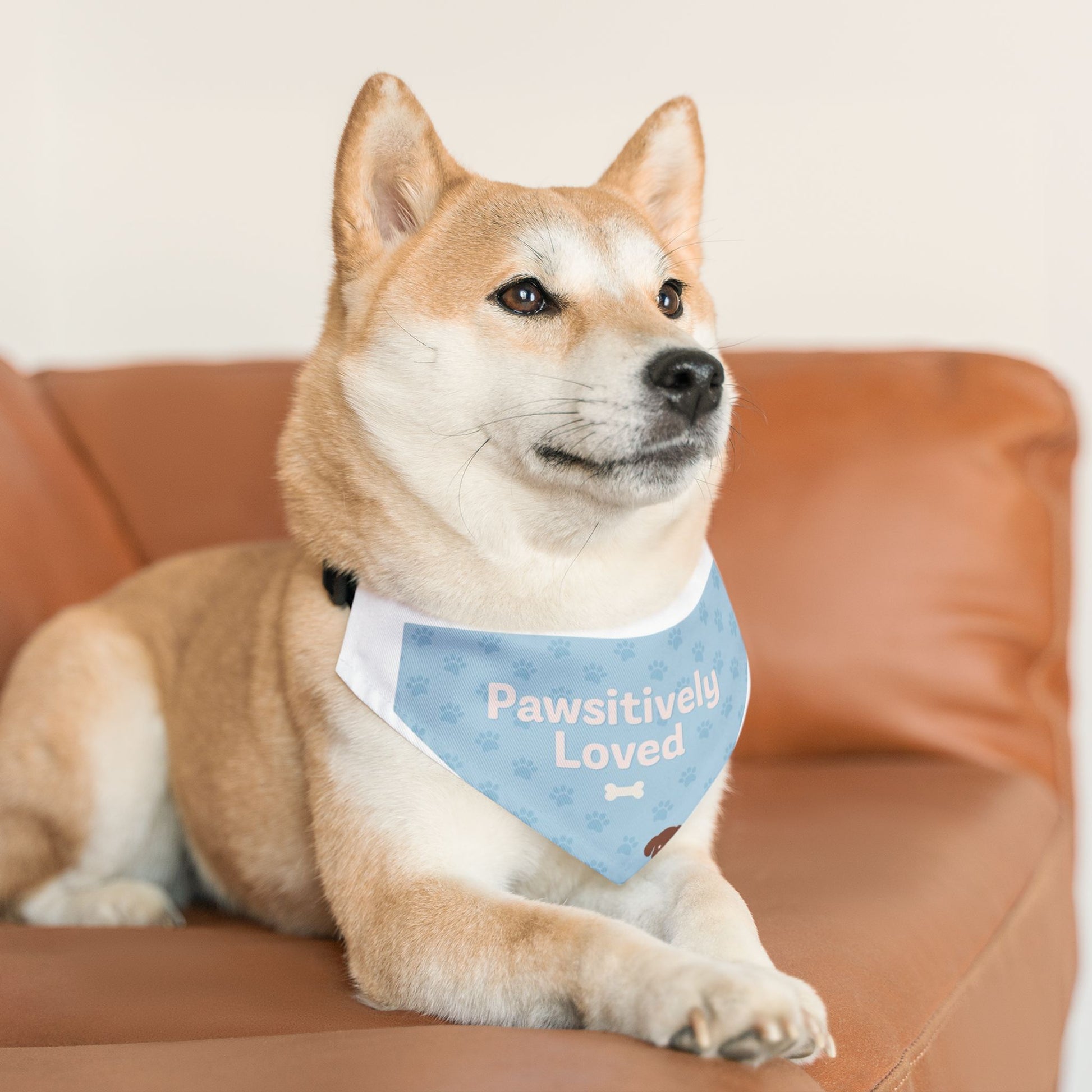 Pawsitively Loved Pet Bandana Collar - Stylish Dog Accessory for Celebrations