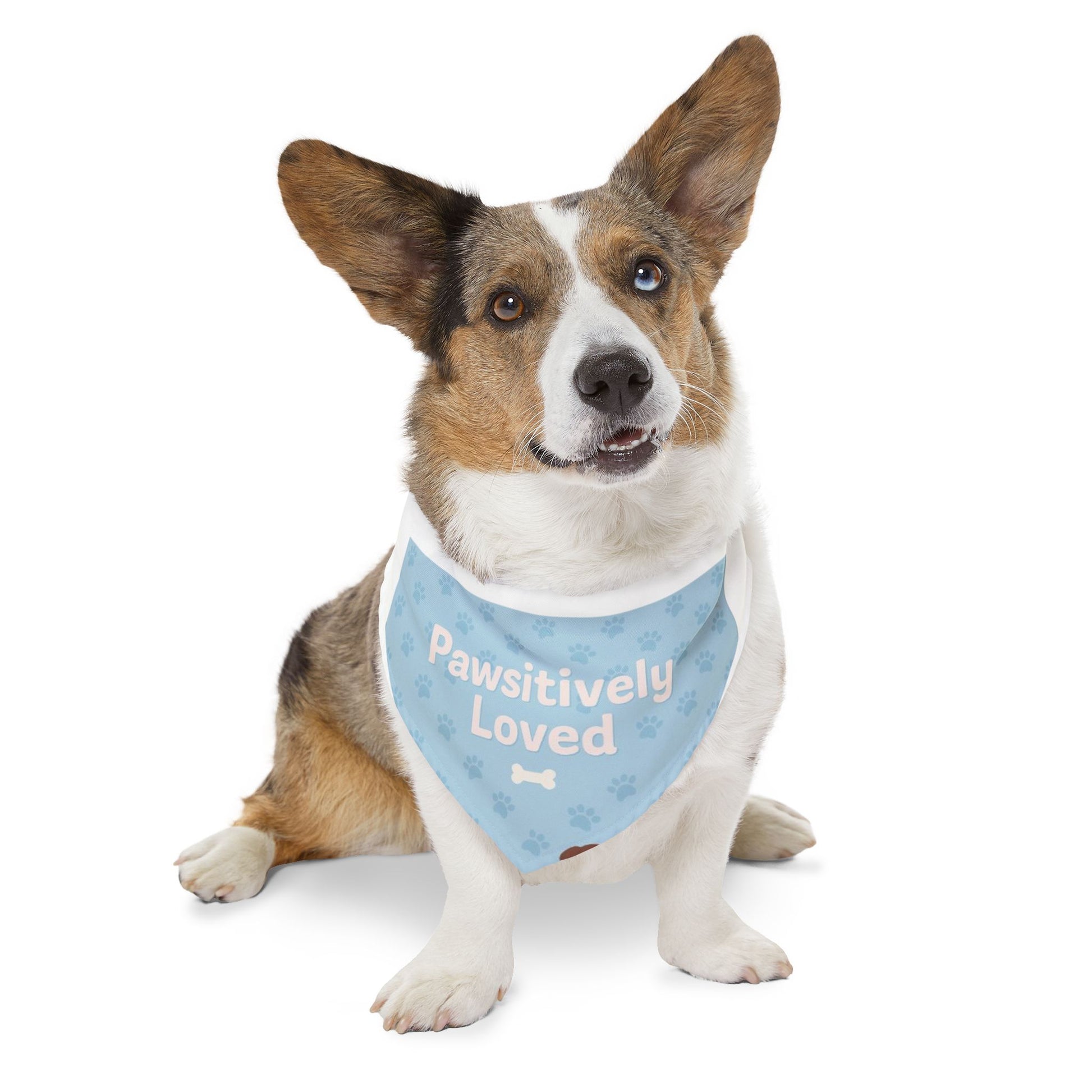 Pawsitively Loved Pet Bandana Collar - Stylish Dog Accessory for Celebrations