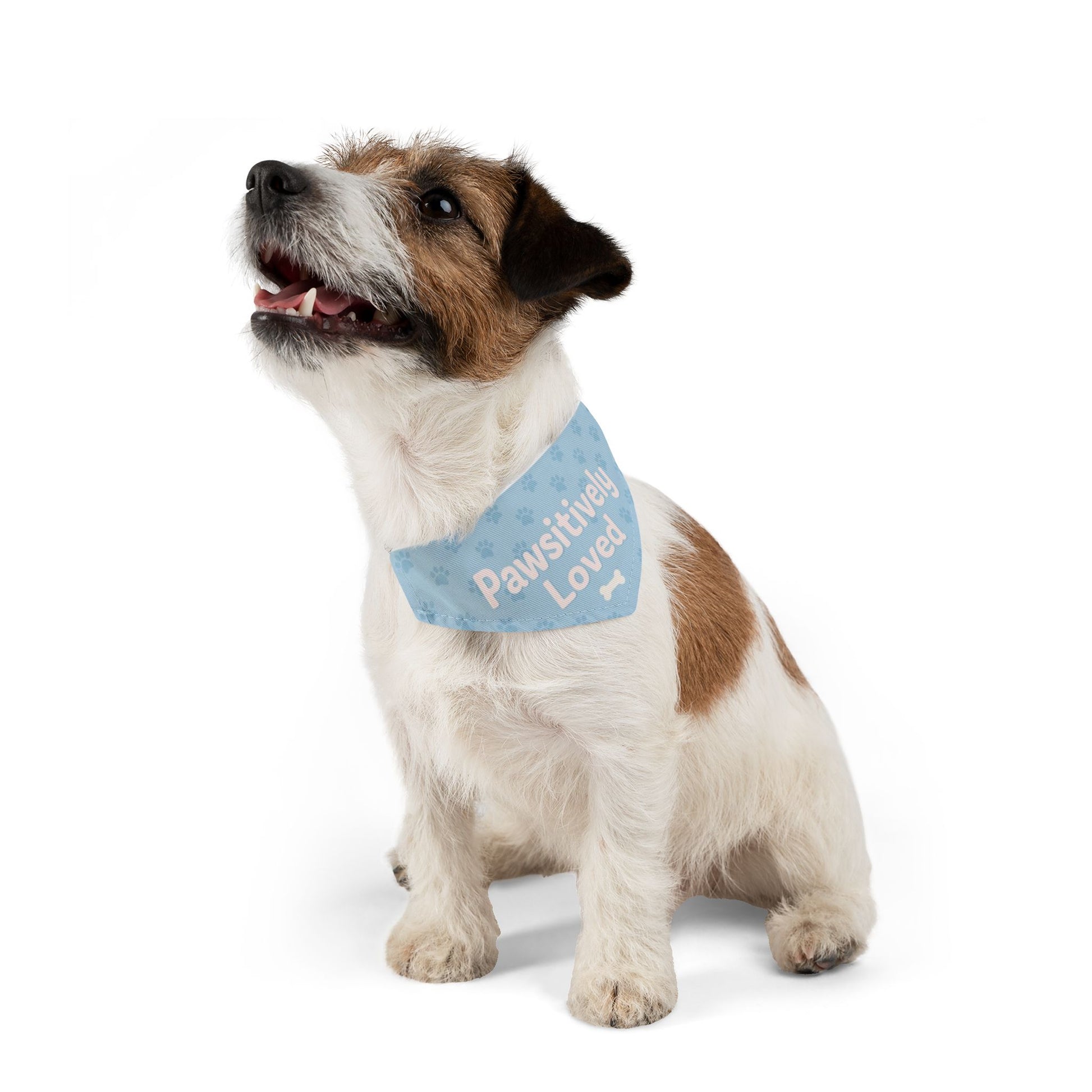 Pawsitively Loved Pet Bandana Collar - Stylish Dog Accessory for Celebrations
