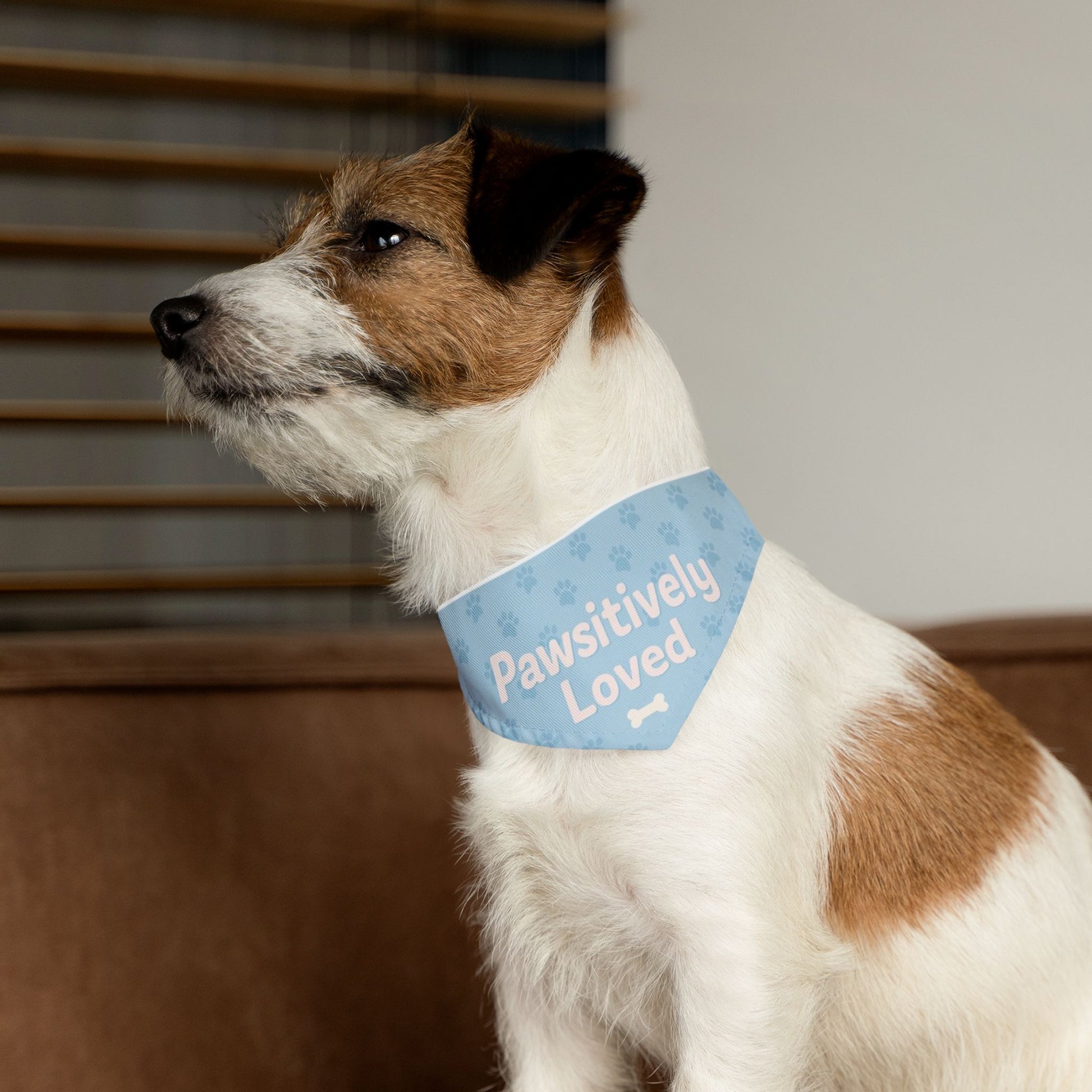 Pawsitively Loved Pet Bandana Collar - Stylish Dog Accessory for Celebrations