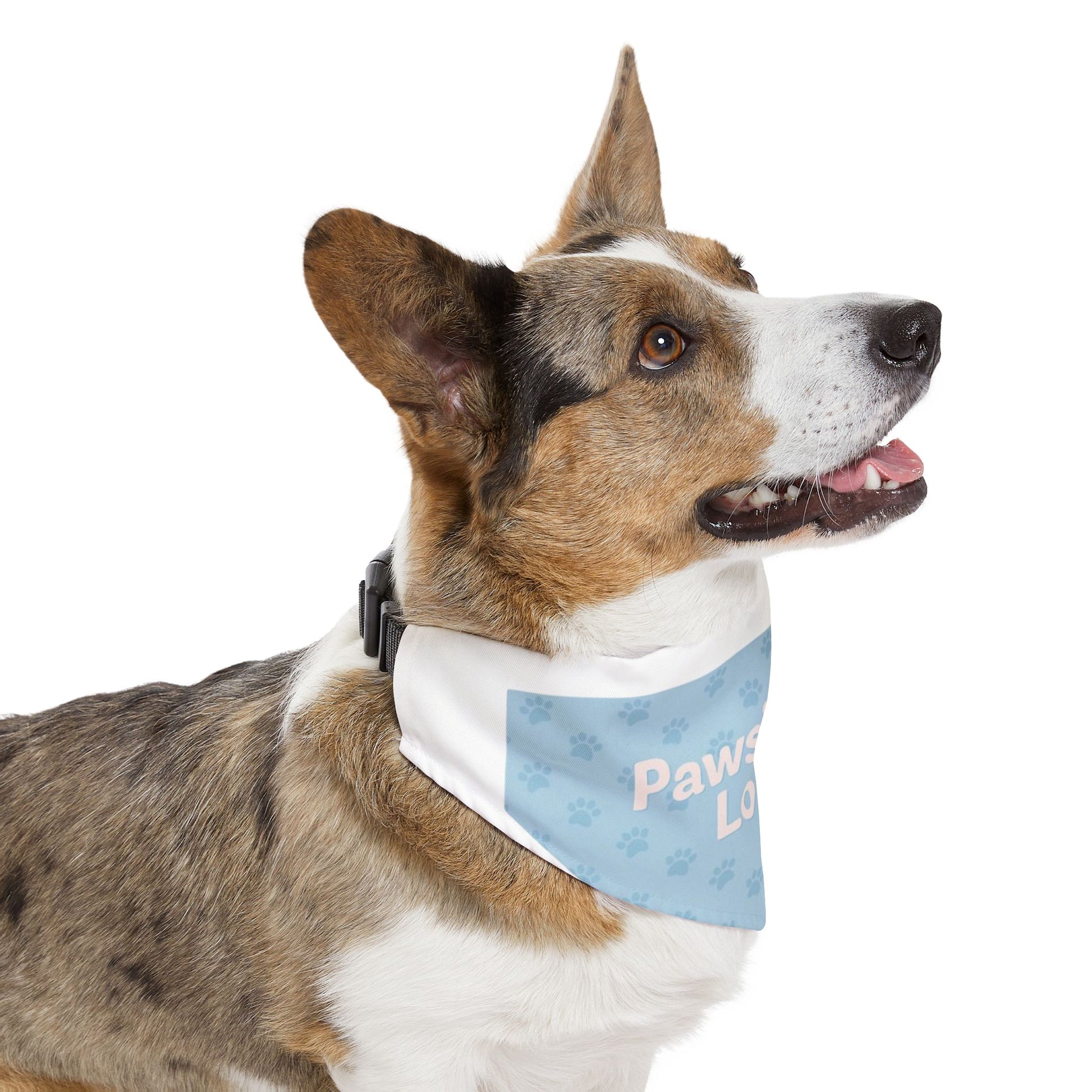 Pawsitively Loved Pet Bandana Collar - Stylish Dog Accessory for Celebrations